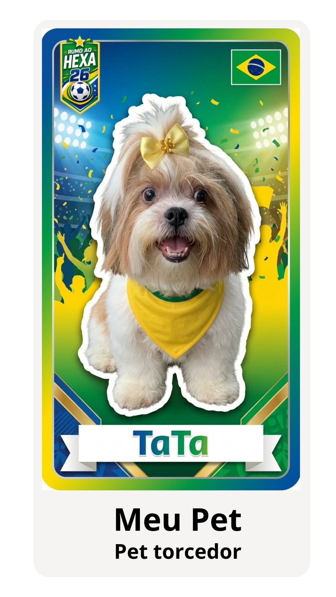 Meu Pet